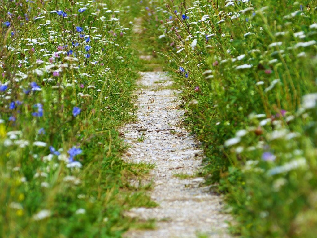 chemin de compostelle